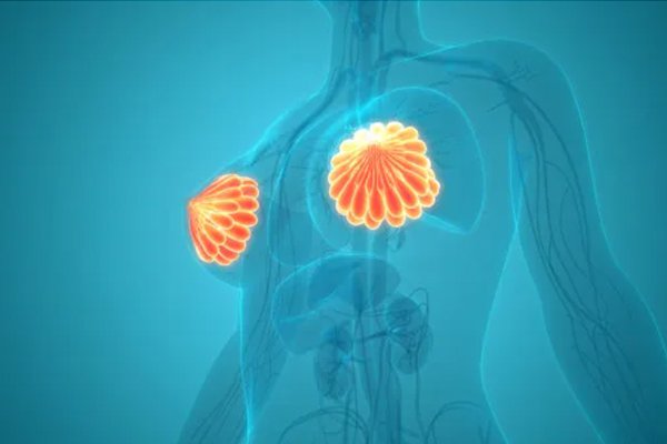 乳腺增生患者平時飲食注意事項