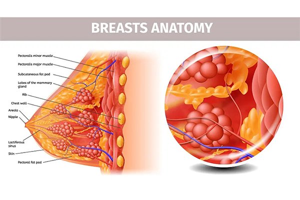 乳腺增生自我按摩的操作手法推薦